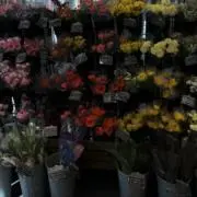 nAP,Sの画像
