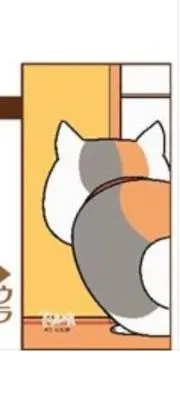 のりこの画像