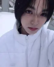 くらげの画像