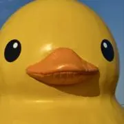 りょうの画像