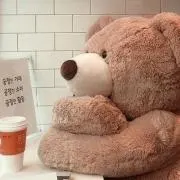 しゃしゃの画像