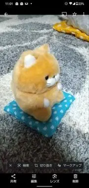 ねこまる。の画像