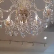 まの画像