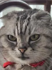 erukeeeeの画像