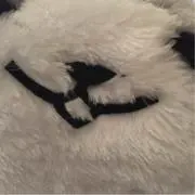 エース
