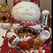 南野の画像