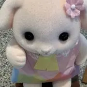いちごの画像