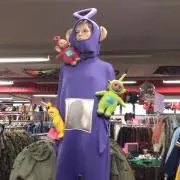 わたの画像