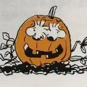 めいぷるさんの画像