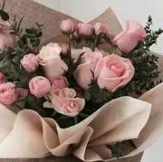 Rose❤