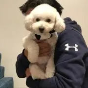 みちの画像