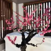 和楽堂＠２４時間以内発送の画像