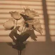 きー