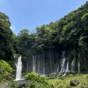 ロペスの画像
