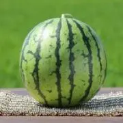 まっしぐらの画像