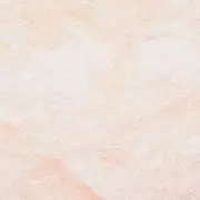 Riの画像
