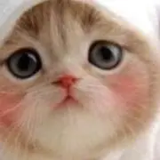 kyoの画像