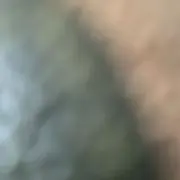 ミャンマーの画像