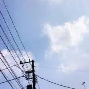 Image of そら