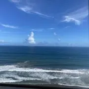 プロフ必読Sの画像