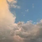 はるはる
