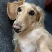 やまもーぉの画像