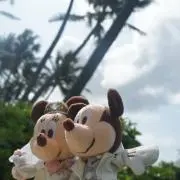 ミニたすの画像
