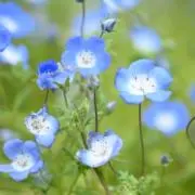 Rn