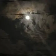 にゅんの画像