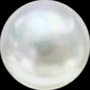ぴぴの画像