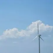 Rickyの画像