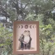 真の画像