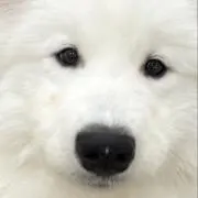 み⋈﻿プロフ必読の画像