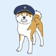 わんわんわんの画像