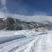 Lamplandの画像