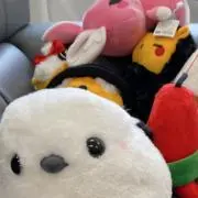 PiPiの画像