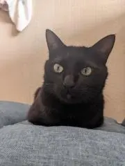 ポポちゃんの画像
