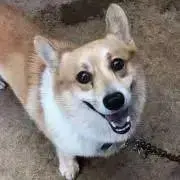 りっちむん