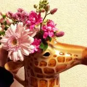 こねぎちゃんの画像