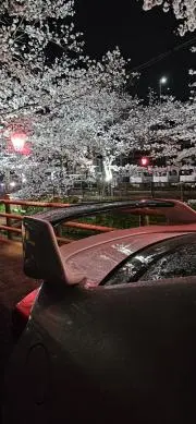 よっし〜の画像