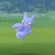 ゆぴの画像