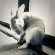 maaaami*☻☻*