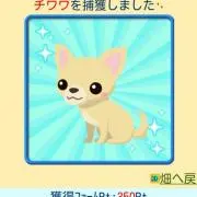 ニコ