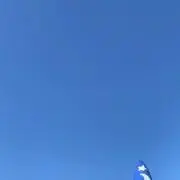 ミチの画像