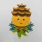 まつぼっくりの画像