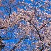 のりもち※プロフ読んでね！の画像