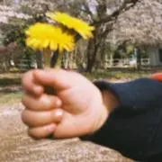 なの画像