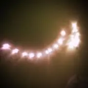 ぷりん