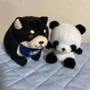 ゆいbachan【プロフ必読ください】の画像