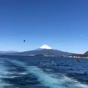 くるくるの画像